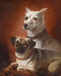 Retrato cão